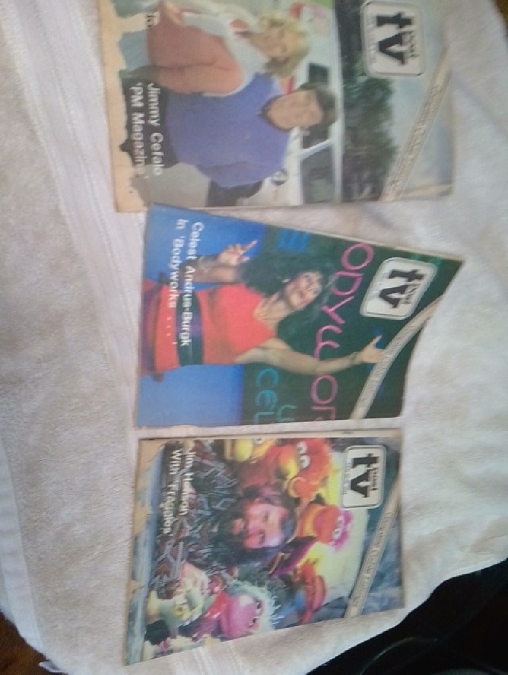 Vintage TV Guide Magazine Lot - Colorful Covers